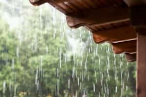 Co zrobić z wodą deszczową na działce?