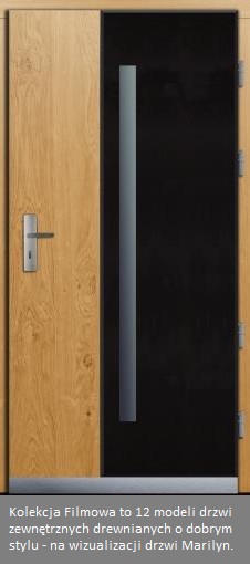 drzwi, winkhaus, drzwi wejściowe, drzwi szklane, drewno na drzwi wejściowe