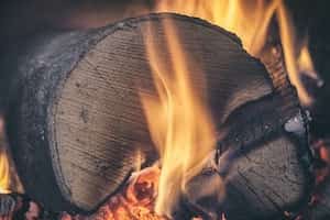 Jak wybrać dobre drewno do palenia w kominku?